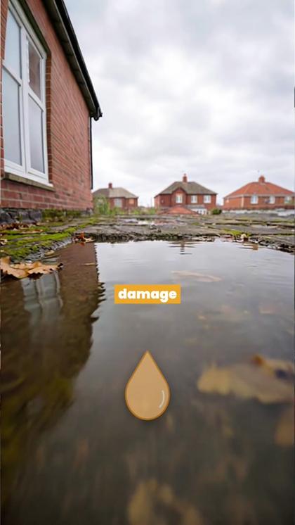 Ad still: standing water on an old flat roof